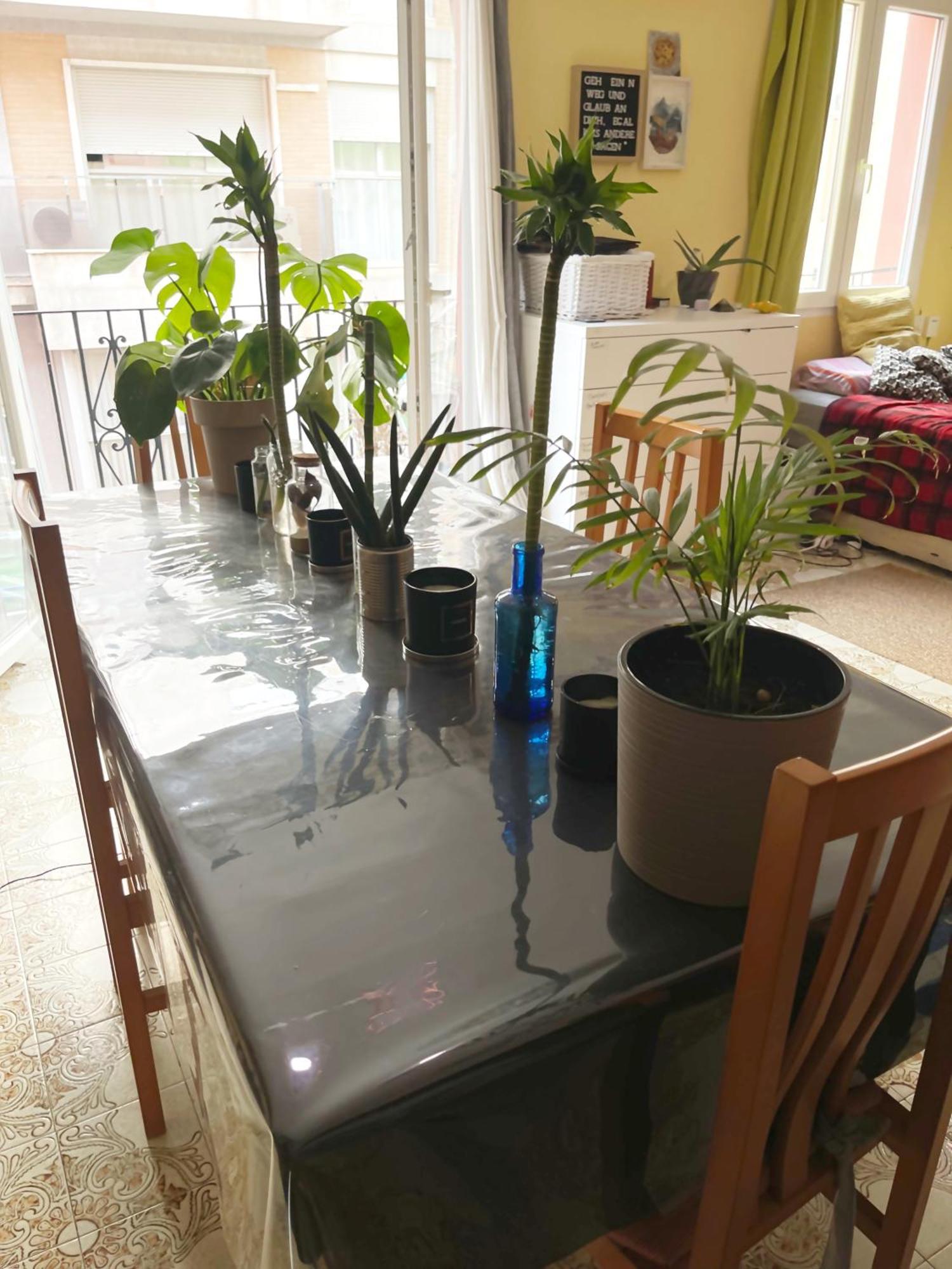 Gemuetliches Zimmer "Gold" Fuer 2 Personen Und Katzenliebhaber Valência Exterior foto